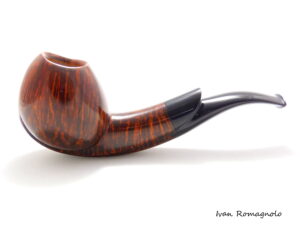 Pipa Blowfish